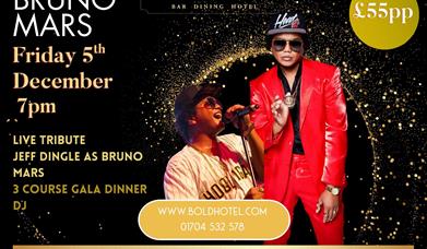 Bruno Mars Christmas Party Night