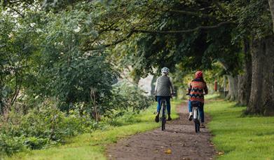 Two women cycling through a country park surrounded by trees and grass.