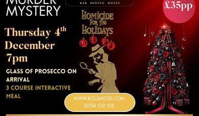 Murder Mystery Homicide For The Holidays