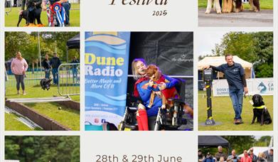 Summer Dog Festival 2025
