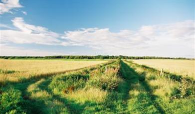 Near Cheshire Lines Path